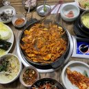 개미산곰장어 이미지