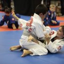 와이번 주짓수 합기도 이미지