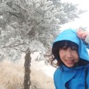 봉산민박 이미지