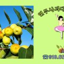 홍일농장 이미지