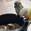 재준약국 이미지