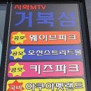 엠티브이5로 이미지