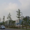 주정차-26 이미지