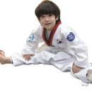 국가대표건영태권도장 이미지