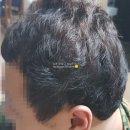 컬러링미장 | 미쟝센 헬로 버플폼컬러링 모카라떼브라운 후기 생각보다 잘 안나온다ㅠ