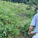 공주나래원 봉안당 | 묘지이장안식처#245 방치된 청양 단묘 1기 개장 후 공주나래원 화장장까지 작업 후기