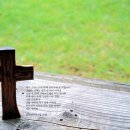 오늘오후 이미지