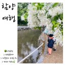 환웅농장 | 함양 여행 3일차, 상림공원 &gt; 천령문화제 &gt; 천년의정원/세종왕자한남군의묘