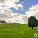 석촌드림약국 이미지