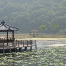 이해주농장 이미지