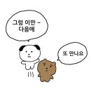 박스 앤 짐 | THULE 툴레 클린 앤 더티, 컴프레션 패킹 큐브 S 화이트 후기 | 여행용 파우치, 오거나이저 추천