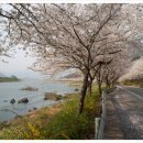 섬진강농장 이미지