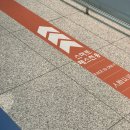 세븐일레븐 고대본점 | 싱가포르 3박5일 자유여행 대한항공 기내식 차임스 꼬치 라우파삿 사테거리 7,8번 오렌지주스자판기...