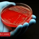 삼인당한의원 이미지