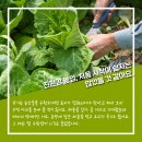 원주생명농업 이미지