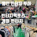 [용인] 용인대 근처 빈티지 쇼핑 투어 (빈티지 팩토리, 개미 빈티지)