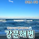 강문 | [공지] 강릉 강문해변 산책 후기｜조용해서 더 좋았던 강문동 바다