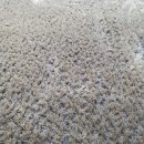 2함대길 이미지