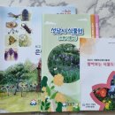 향기원 풍차 이미지