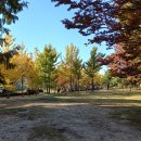 일산서쪽화장실 이미지