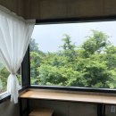 새실오브앰비언스