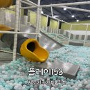 플레이 153 이미지