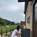 나무들의 수다 이미지