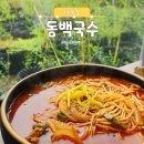 제주공항 5분 거리 숨겨진 얼큰고기국수 동백국수 솔직 후기
