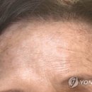 헤나방 이미지