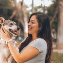 위풍댕댕 이미지