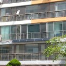 빛고을태양광발전소 이미지