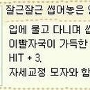 브랜덱스 이미지