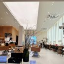 1472건강라이프 | 대치 라운지 점 어깨선 단발 퍼스널 커트 + 루잇 모발 맞춤 크리닉, 임민성 디자이너님의 섬세한 손길 후기