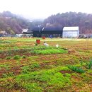 고양농장 이미지