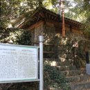 제주 납읍리 난대림 네이버블로그