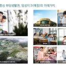 목포제일여자고등학교 이미지