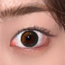 빅타운 | [성북구] 그랑프리안경 돈암점 렌즈타운 투베러 빅 블랙 후기 | 성신여대안경원 그랑프리안경 & 렌즈...