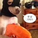 설악산돌판구이 | [속초2박3일여행] 홈마리나속초 신상호텔 내돈내산 후기 &amp; 속초러버의 새로운 맛집•가볼만한곳 추천🩵