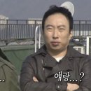 양재첫걸음 | 스빵일상-결혼기념일, 양재 아사이볼, 모모스 원두