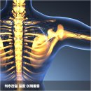 평택한의원 이미지