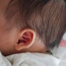 샤론산후조리원 이미지