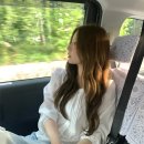 땡큐독 | 위시리스트가 많은 것도 정신병일까요 (리브아워, 파인땡큐, 오브뮤트, 니스휴, 렌느, 셀렉트한, 오버...