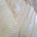 완도수산 이미지