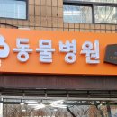 한샘동물병원 이미지