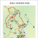 장태산 자연휴양림 트레킹 - 메타세콰이아 숲 이미지