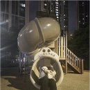 바로외과동물병원 | 안양 바로외과동물병원,FHNO수술을 통해 다시 일상을 되찾았습니다.(후기 공유)