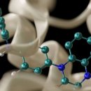 (주)서울신약 이미지