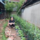 홈이용소 이미지