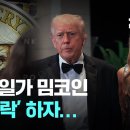 열풍 끝났나?…트럼프 일가 밈코인 '99% 급락' 이미지