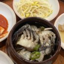 창원 샤브샤브 맛집 창원가로수길 밥집 솔직후기